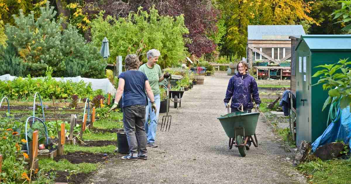 Community Gardens at REH