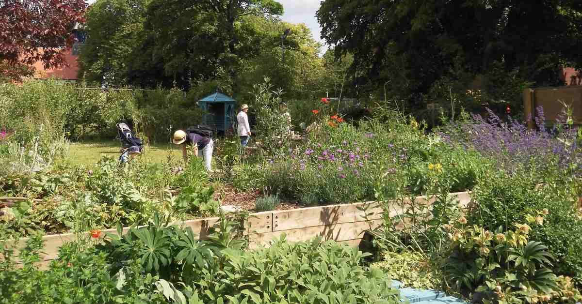 Get involved - image showing volunteers at work