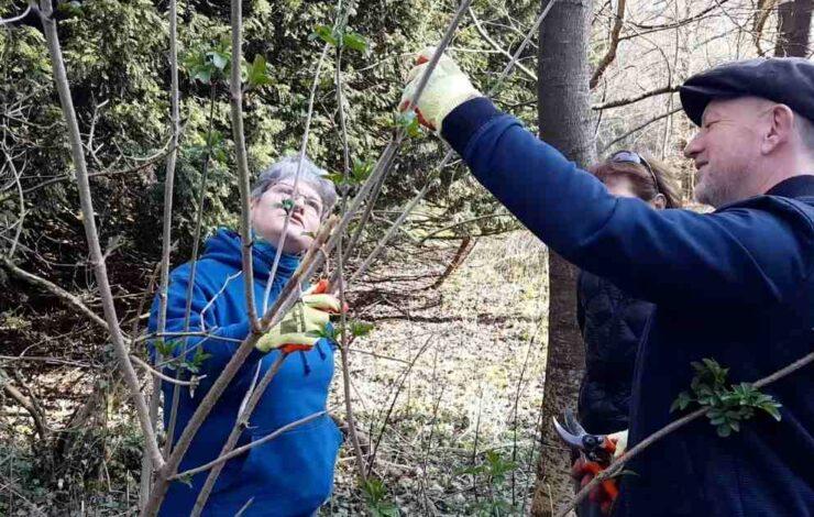 Green Social Prescribing workshop