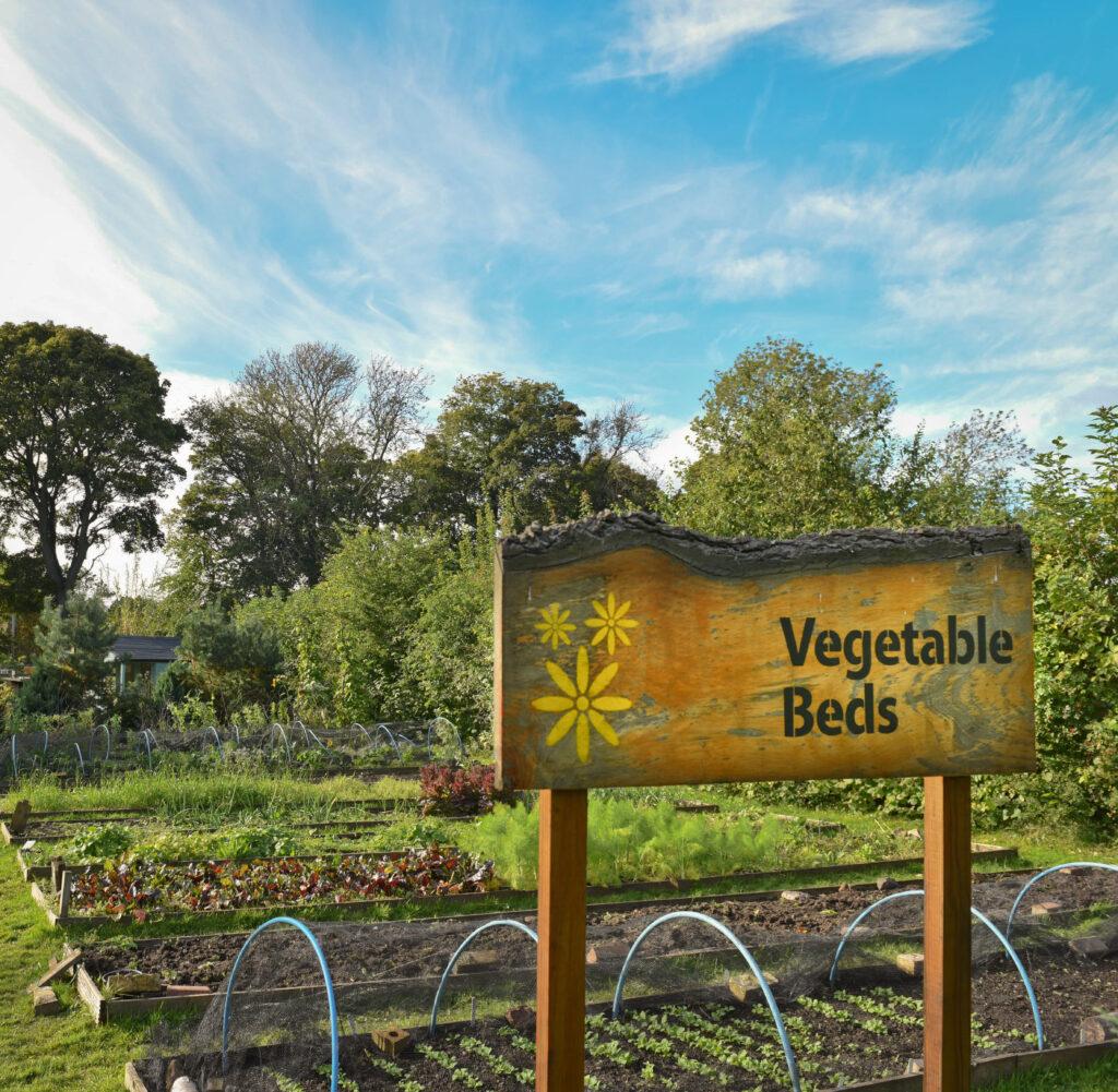 Community Gardens at the Royal Edinburgh Hospital