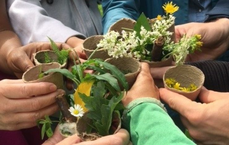 NHS Lothian staff holding plants they have found during a nature prescriptions workshop
