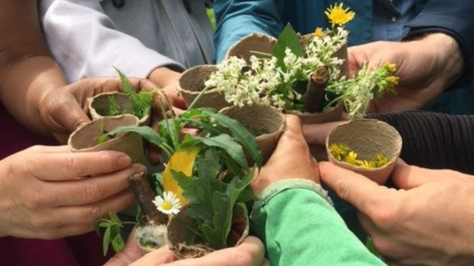 NHS Lothian staff holding plants they have found during a nature prescriptions workshop