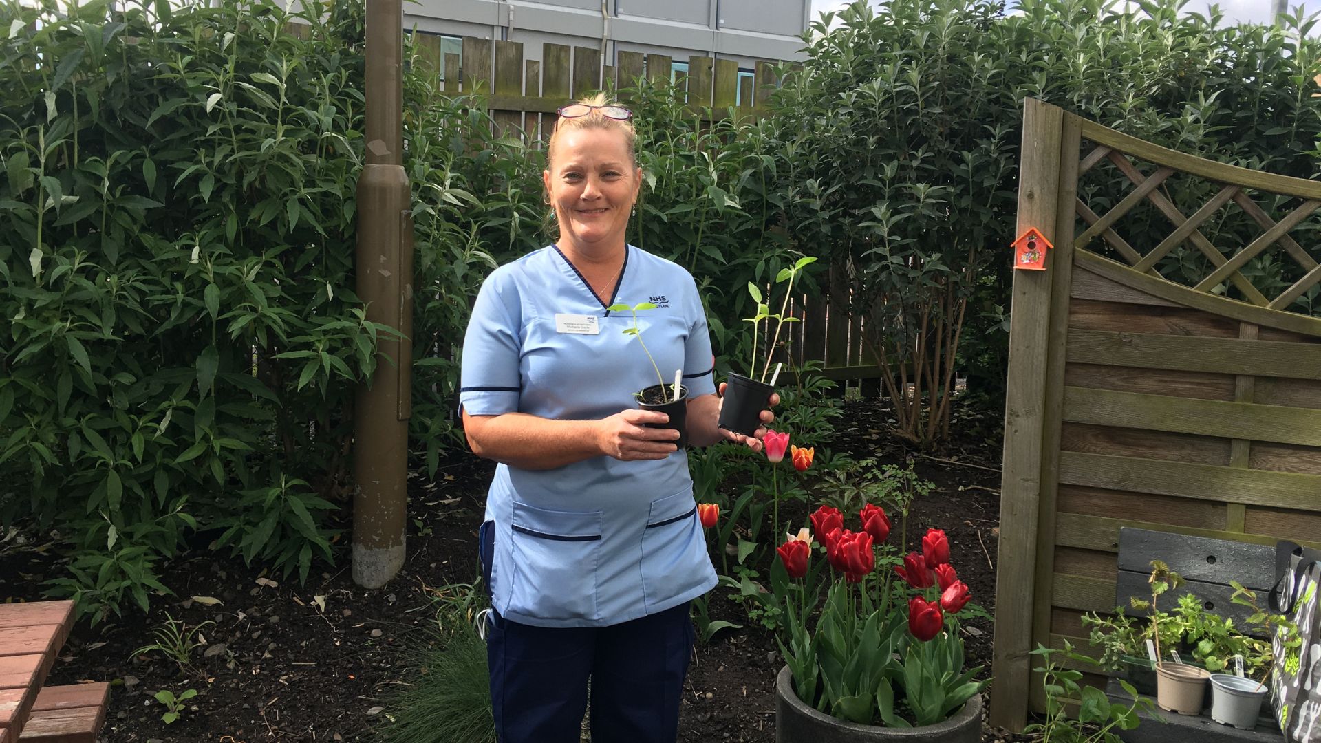 Volunteer Rspb RSPB Nature Connections Pilot at the Western General Hospital - Green ...