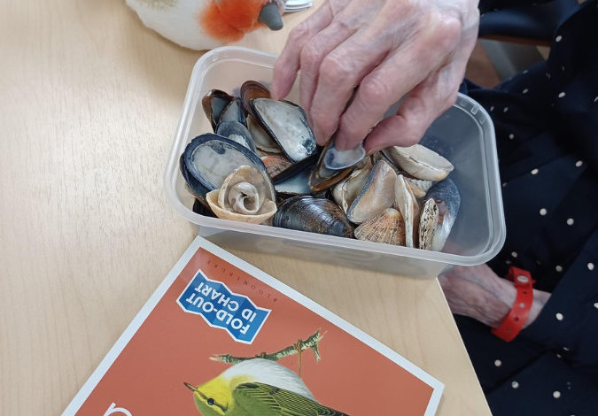 A patient picks up a shell from a box