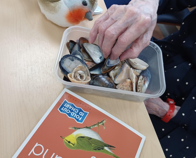 A patient picks up a shell from a box