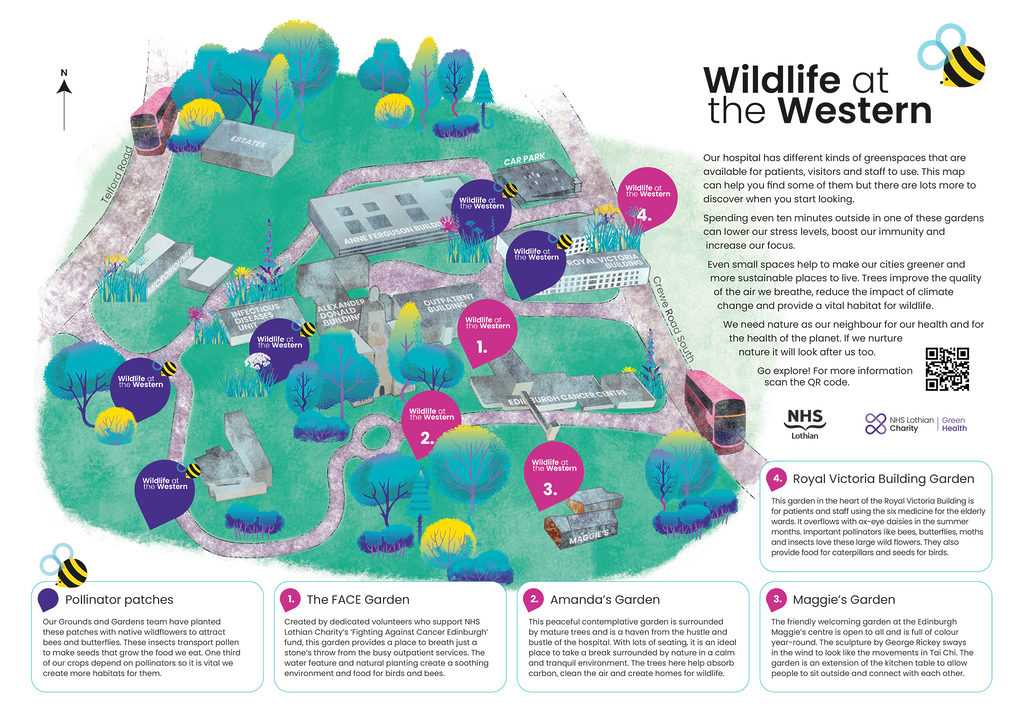 A map showing the green spaces at the Western General Hospital