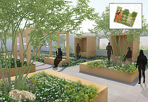 proposed design for the panda courtyard