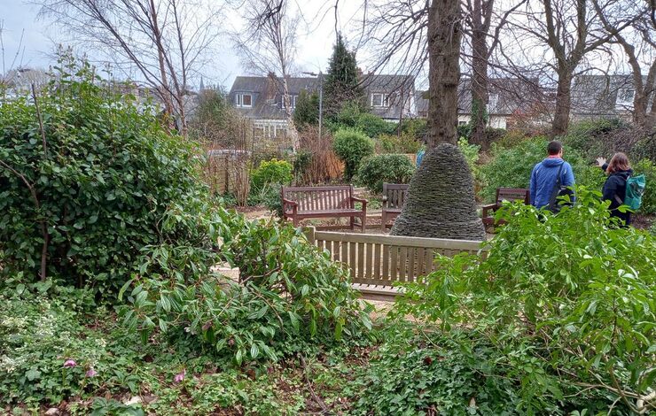Amanda's Garden at the Western General Hospital