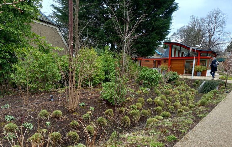 Greenspace around the Western General Hospital, Edinburgh