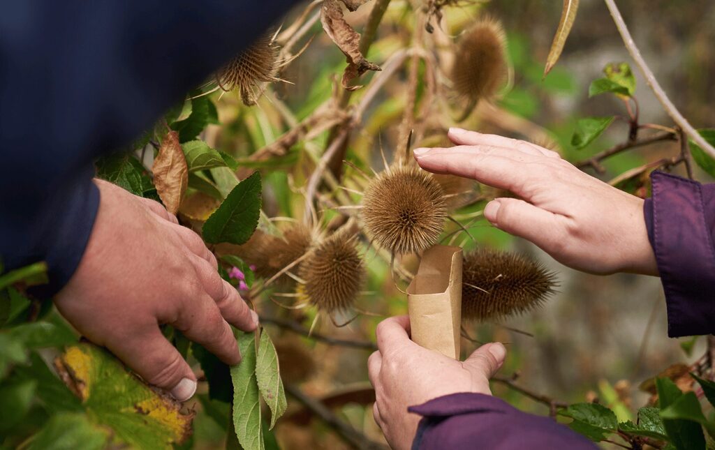Two sets of hands looking at plants