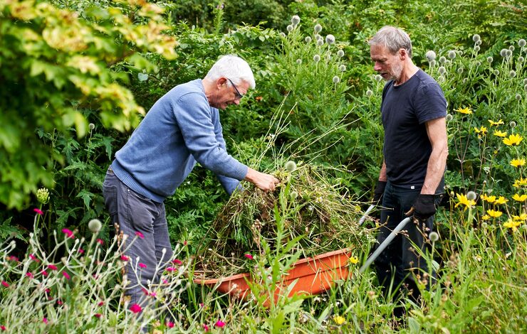 Belhaven Community Garden