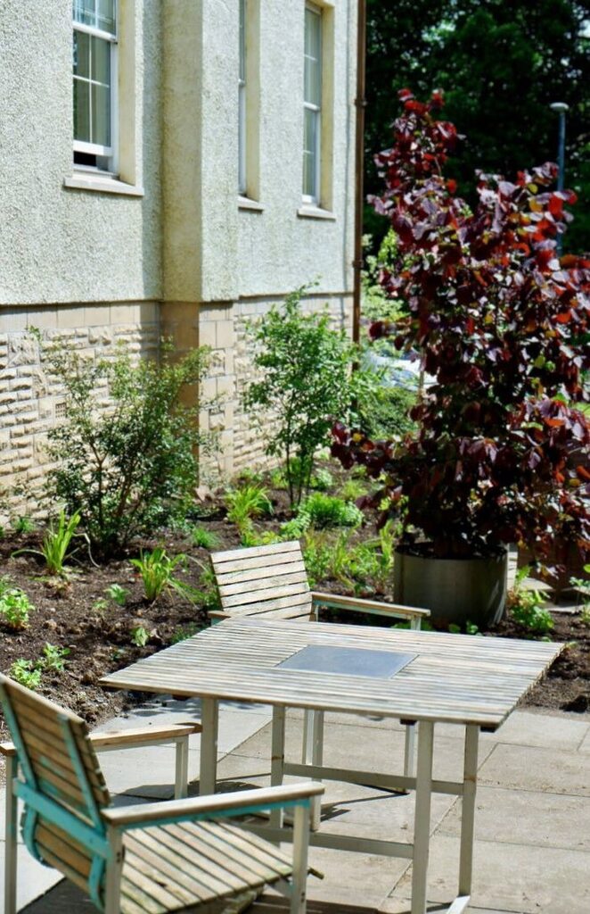 Table and chairs in the Woodland House courtyard. Plants and trees can be seen in the background