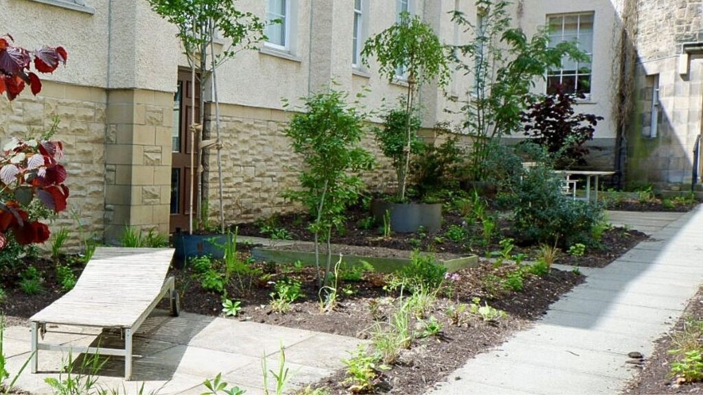 Plants in between paths with a combination of trees and plants