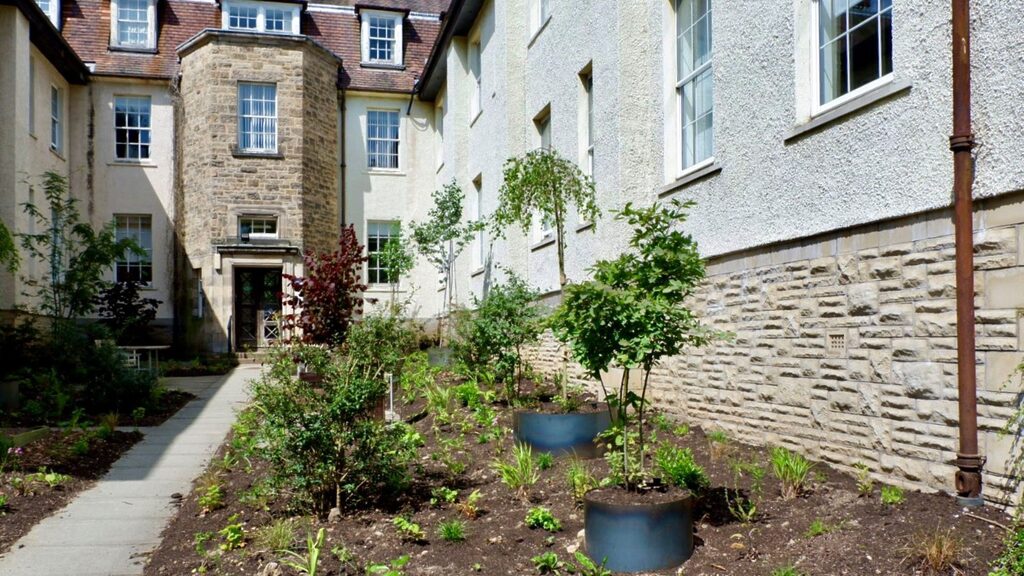 Trees and plants in the courtyard at Woodland House