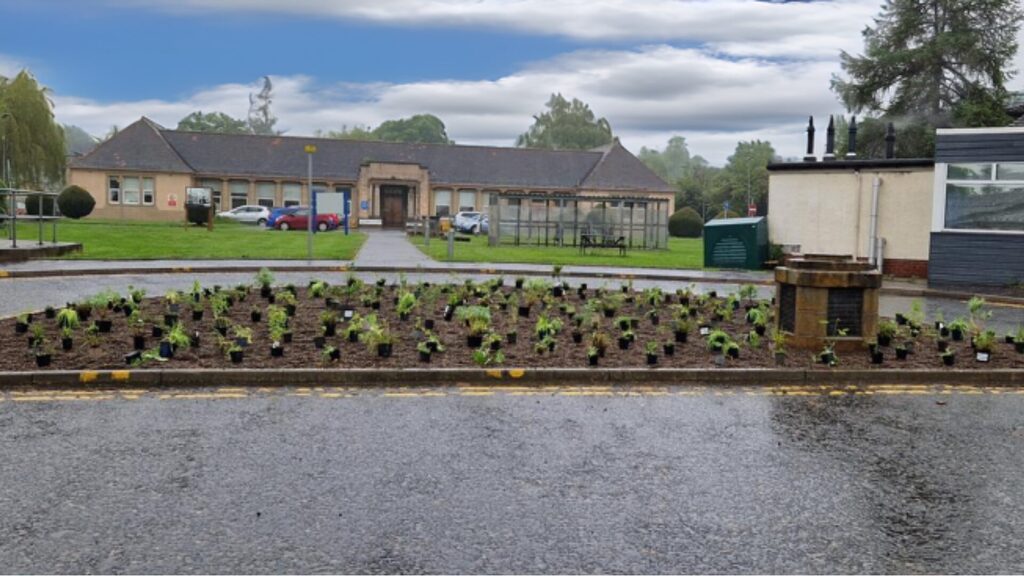 Planting on the turning circle at the front of the SMART Centre