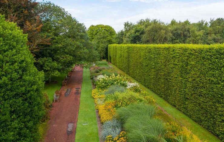 Image shows an arial shot of the Botanic Gardens. There are two trees to the left, a path down the middle, benches, then a hedge to the right.