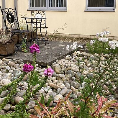 outdoor courtyard enhanced thanks to Climate Challenge funding