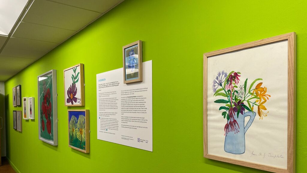 A display of artworks from our Evergreen exhibition at the Royal Edinburgh Hospital