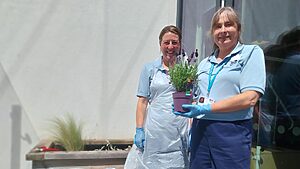 staff rejuvenating the planters at dcn
