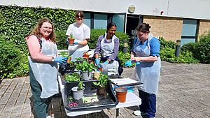 staff taking part in windowsill growing workshops at rie