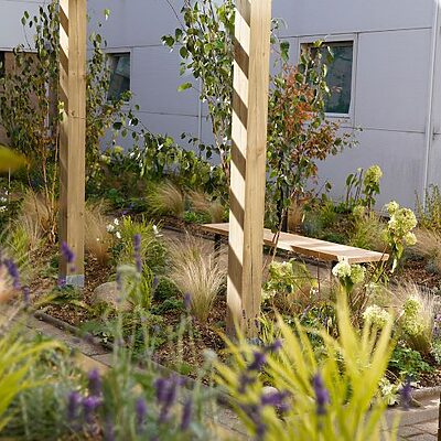 Plants and Greenery at RIE staff courtyard