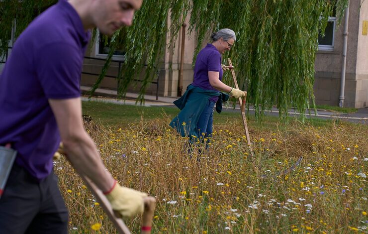two volunteers scything the wildflower meadows at the Astley Ainslie