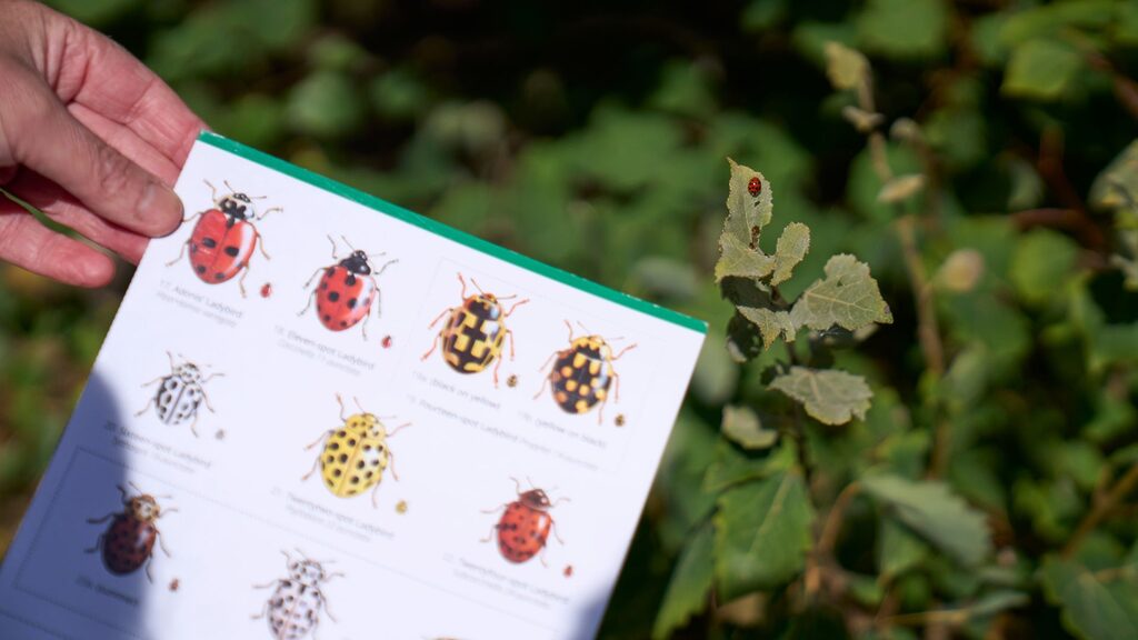 nature id task at RIE