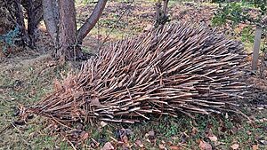 a hedgehog structure made out of willow