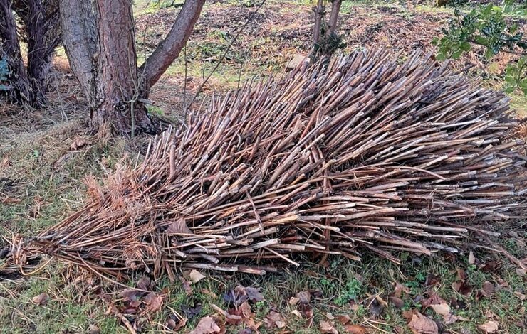 a hedgehog structure made out of willow