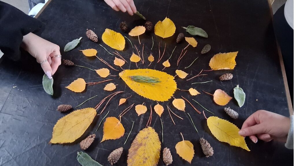 A mandala of leaves