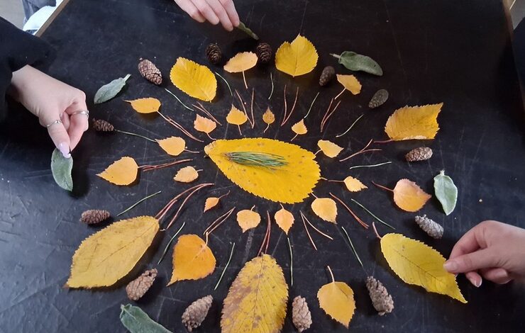 A mandala of leaves