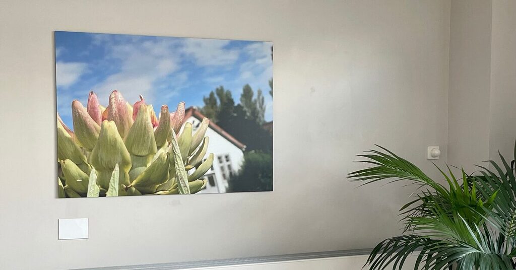 Looking through a new lens artwork with plant