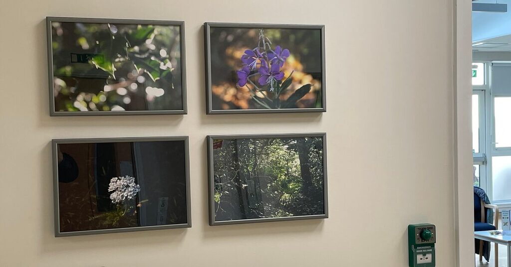 Looking through a new lens 4 photos