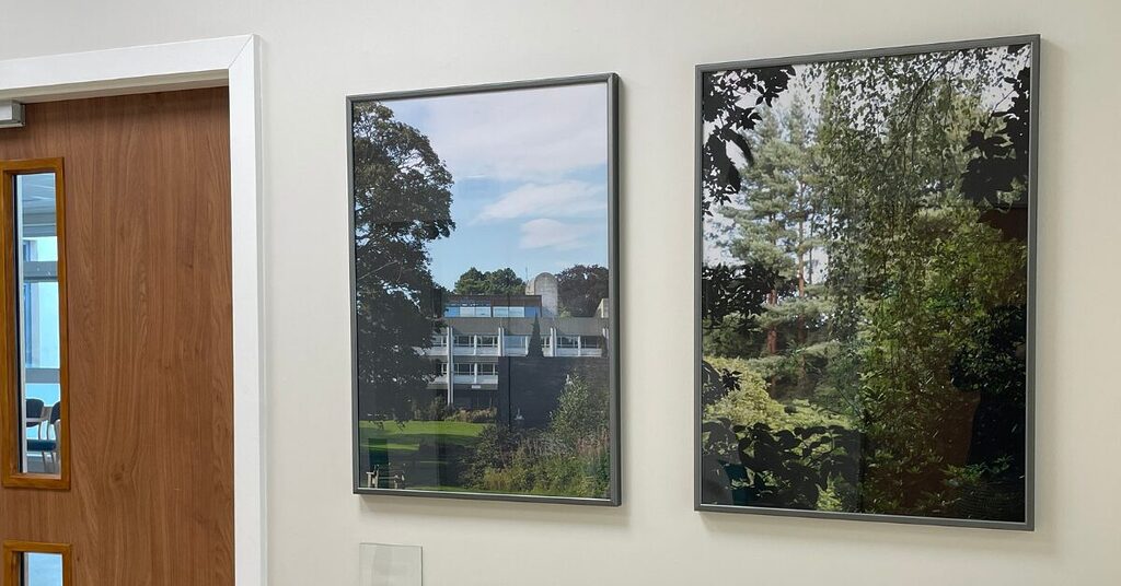 Looking through a new lens 2 large images