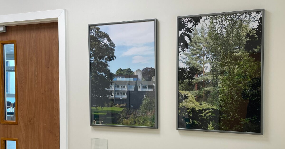 Looking through a new lens 2 large images