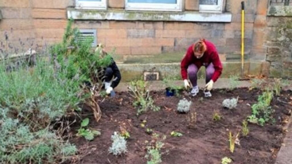 NHS Lothian Charity Volunteers and TCV teams planting bulbs, maintaining garden areas and improving outdoor spaces for patients and staff