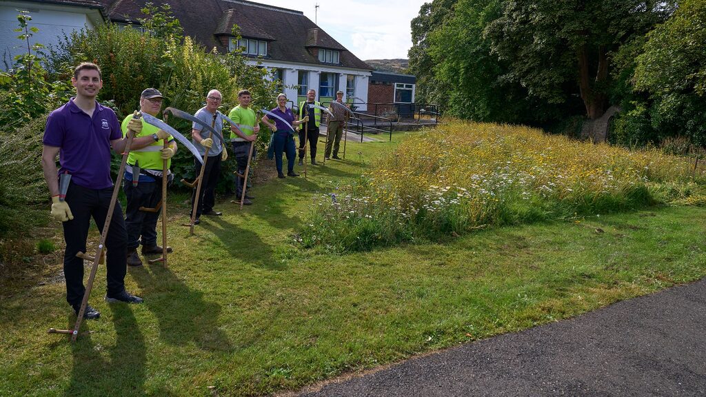 Team of people preparing to scythe wildflower meadow