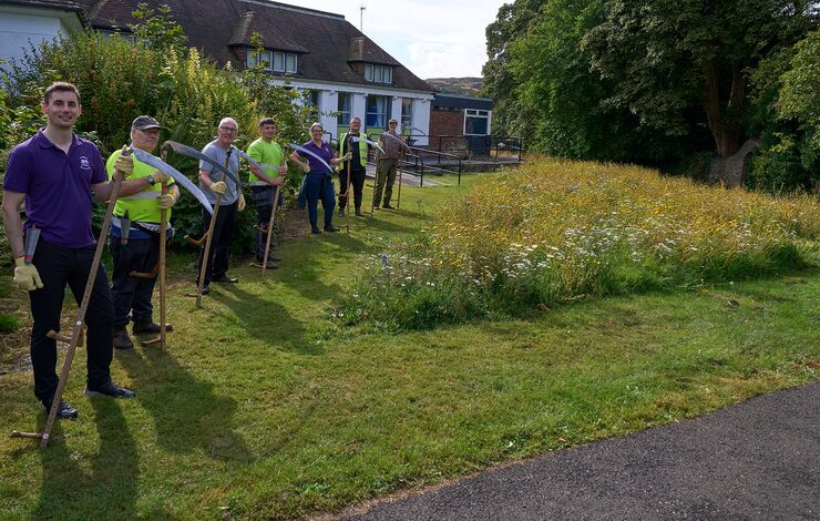 Team of people preparing to scythe wildflower meadow